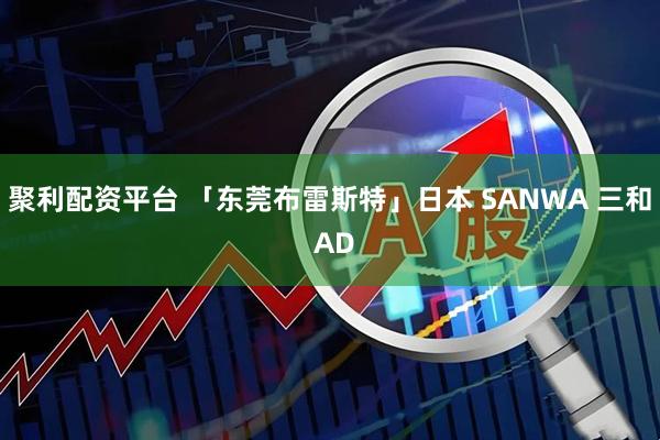 聚利配资平台 「东莞布雷斯特」日本 SANWA 三和 AD