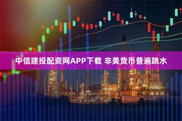 中信建投配资网APP下载 非美货币普遍跳水